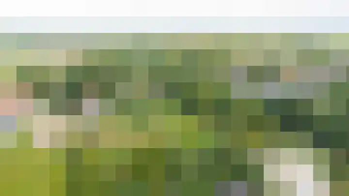 Gansoyen 49 Drongelen thumbnail 65