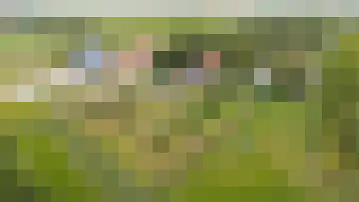 Gansoyen 49 Drongelen thumbnail 66