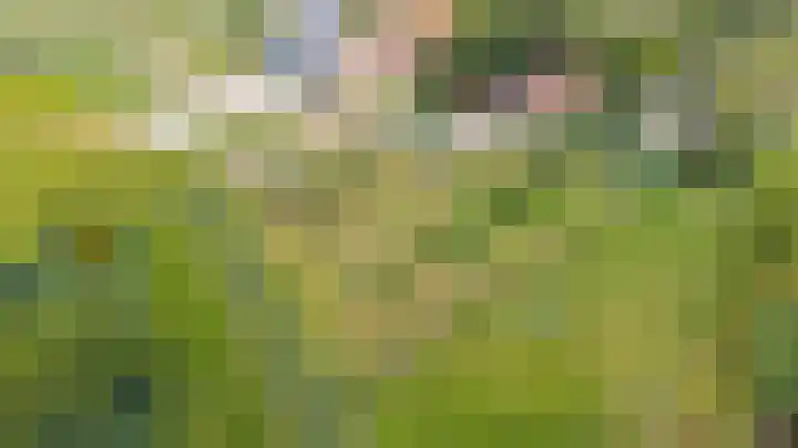 Gansoyen 49 Drongelen thumbnail 67