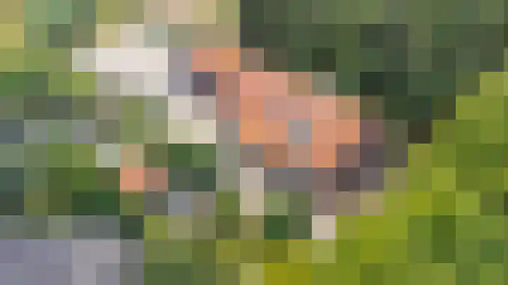 Gansoyen 49 Drongelen thumbnail 69