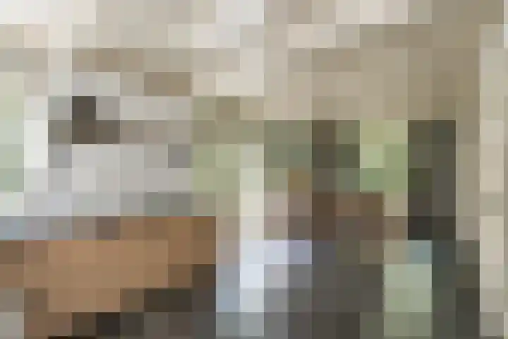 Gansoyen 49 Drongelen thumbnail 9
