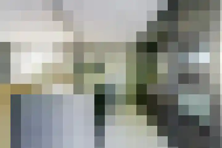 Gansoyen 5 a Drongelen thumbnail 10
