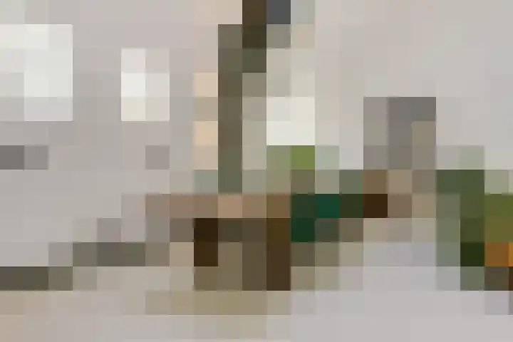 Gansoyen 5 a Drongelen thumbnail 11