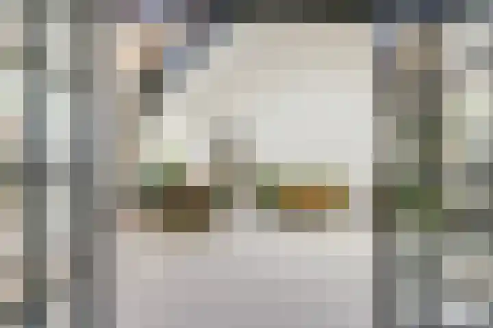 Gansoyen 5 a Drongelen thumbnail 12