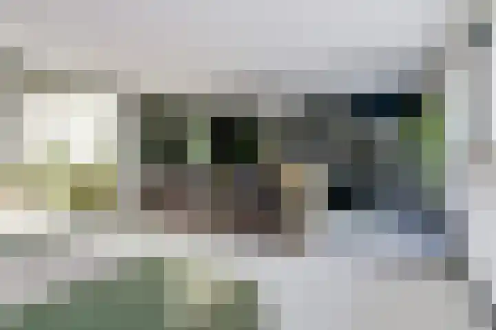 Gansoyen 5 a Drongelen thumbnail 13