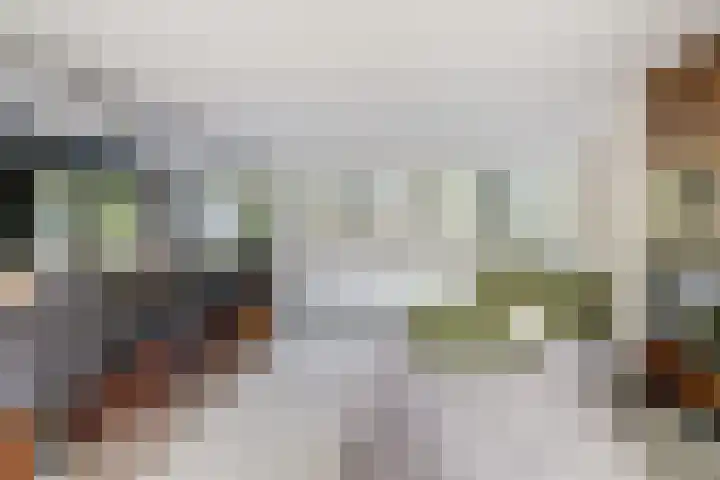 Gansoyen 5 a Drongelen thumbnail 14