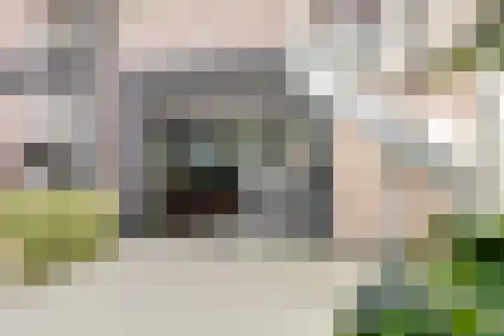 Gansoyen 5 a Drongelen thumbnail 15