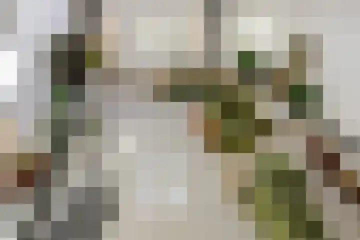 Gansoyen 5 a Drongelen thumbnail 16