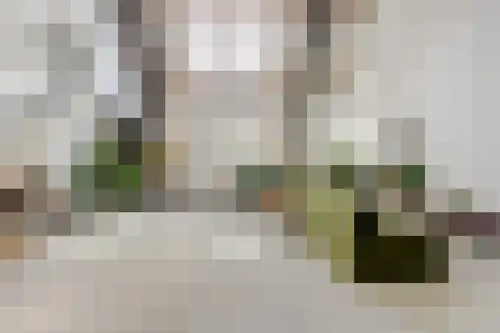Gansoyen 5 a Drongelen thumbnail 17