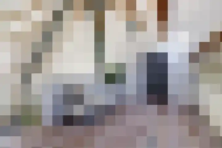 Gansoyen 5 a Drongelen thumbnail 23