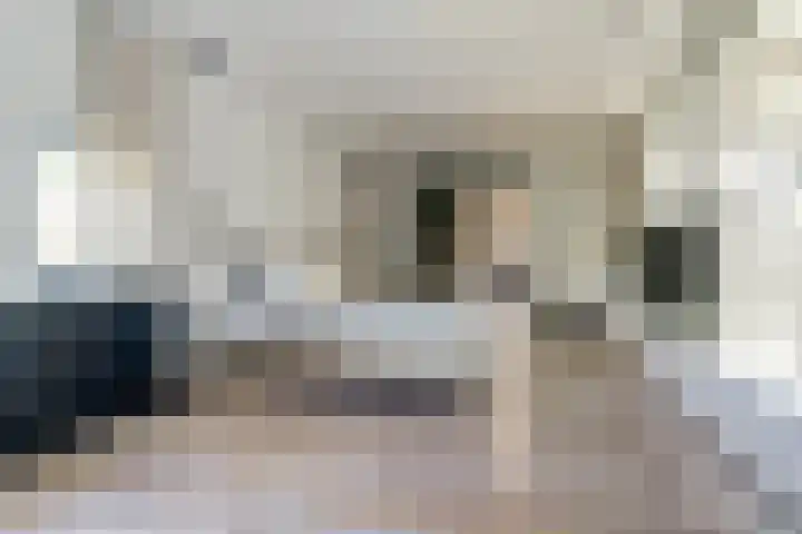 Gansoyen 5 a Drongelen thumbnail 24
