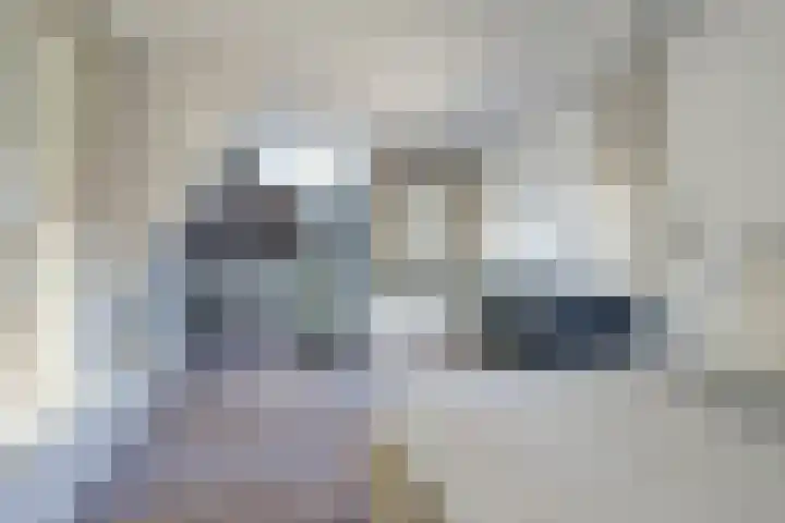 Gansoyen 5 a Drongelen thumbnail 25