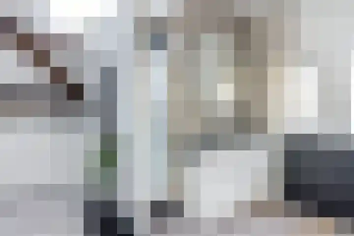 Gansoyen 5 a Drongelen thumbnail 27