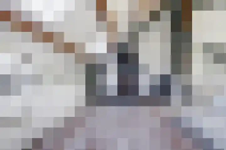 Gansoyen 5 a Drongelen thumbnail 29