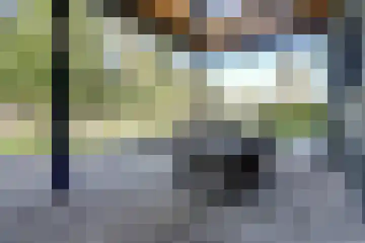 Gansoyen 5 a Drongelen thumbnail 37