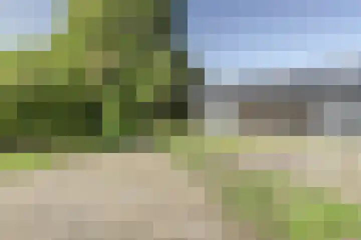 Gansoyen 5 a Drongelen thumbnail 38