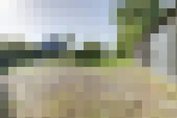 Gansoyen 5 a Drongelen thumbnail 39