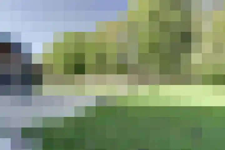 Gansoyen 5 a Drongelen thumbnail 4