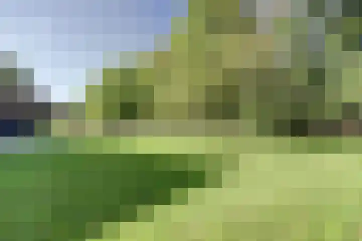 Gansoyen 5 a Drongelen thumbnail 40