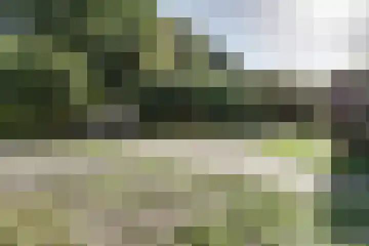 Gansoyen 5 a Drongelen thumbnail 41