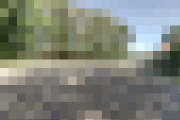Gansoyen 5 a Drongelen thumbnail 42