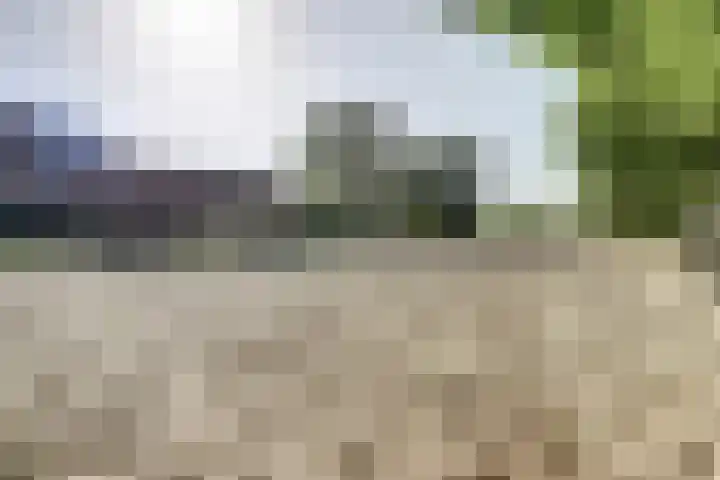 Gansoyen 5 a Drongelen thumbnail 43