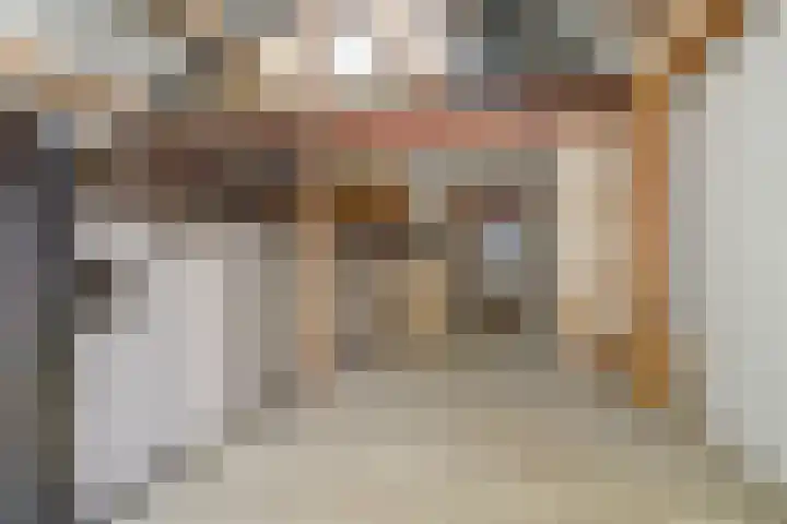 Gansoyen 5 a Drongelen thumbnail 46