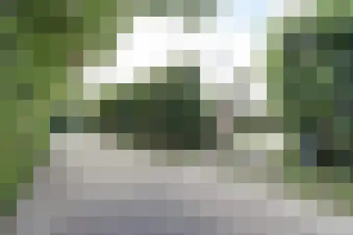 Gansoyen 5 a Drongelen thumbnail 48