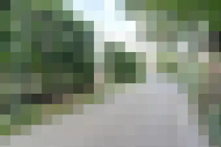 Gansoyen 5 a Drongelen thumbnail 49