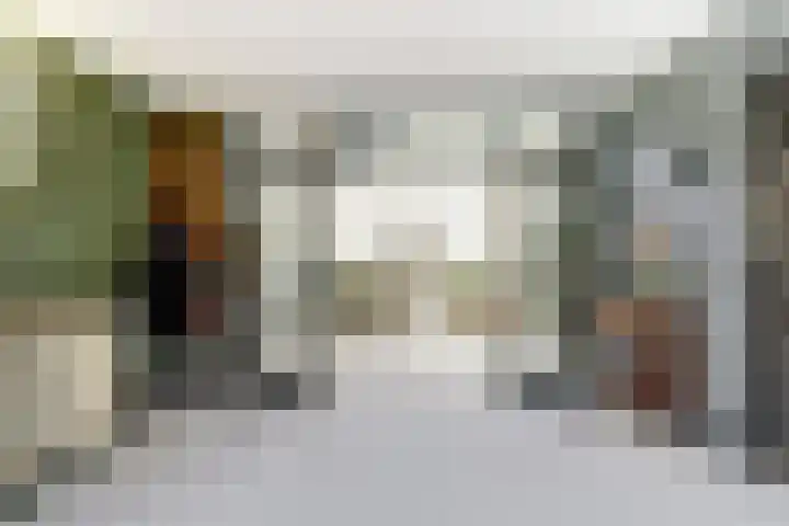 Gansoyen 5 a Drongelen thumbnail 5