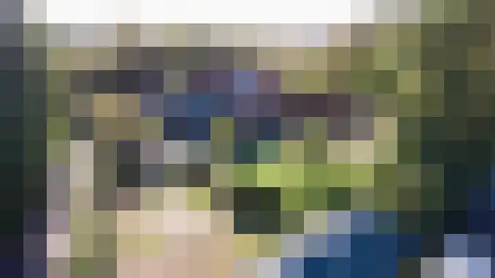 Gansoyen 5 a Drongelen thumbnail 51