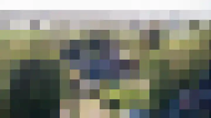 Gansoyen 5 a Drongelen thumbnail 52