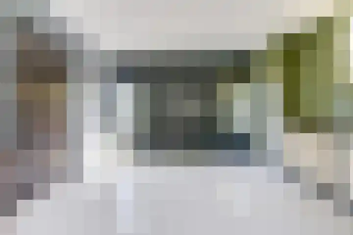 Gansoyen 5 a Drongelen thumbnail 6