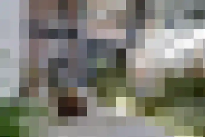 Gansoyen 5 a Drongelen thumbnail 7