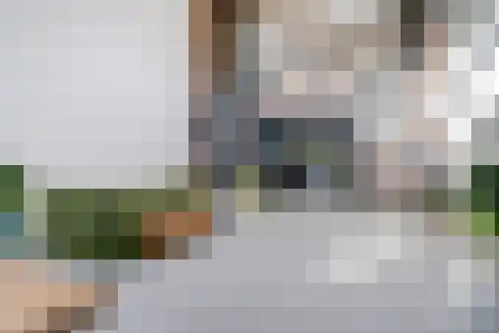 Gansoyen 5 a Drongelen thumbnail 8