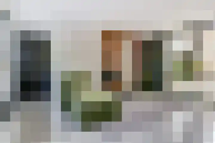 Gansoyen 5 a Drongelen thumbnail 9