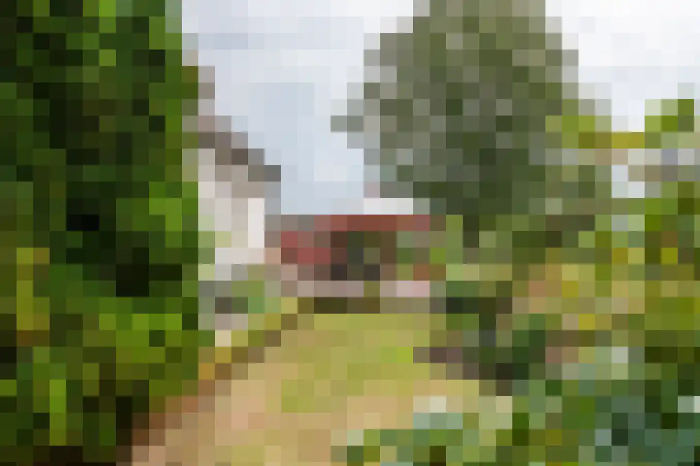 Ganssteeg 27 Beusichem thumbnail 11