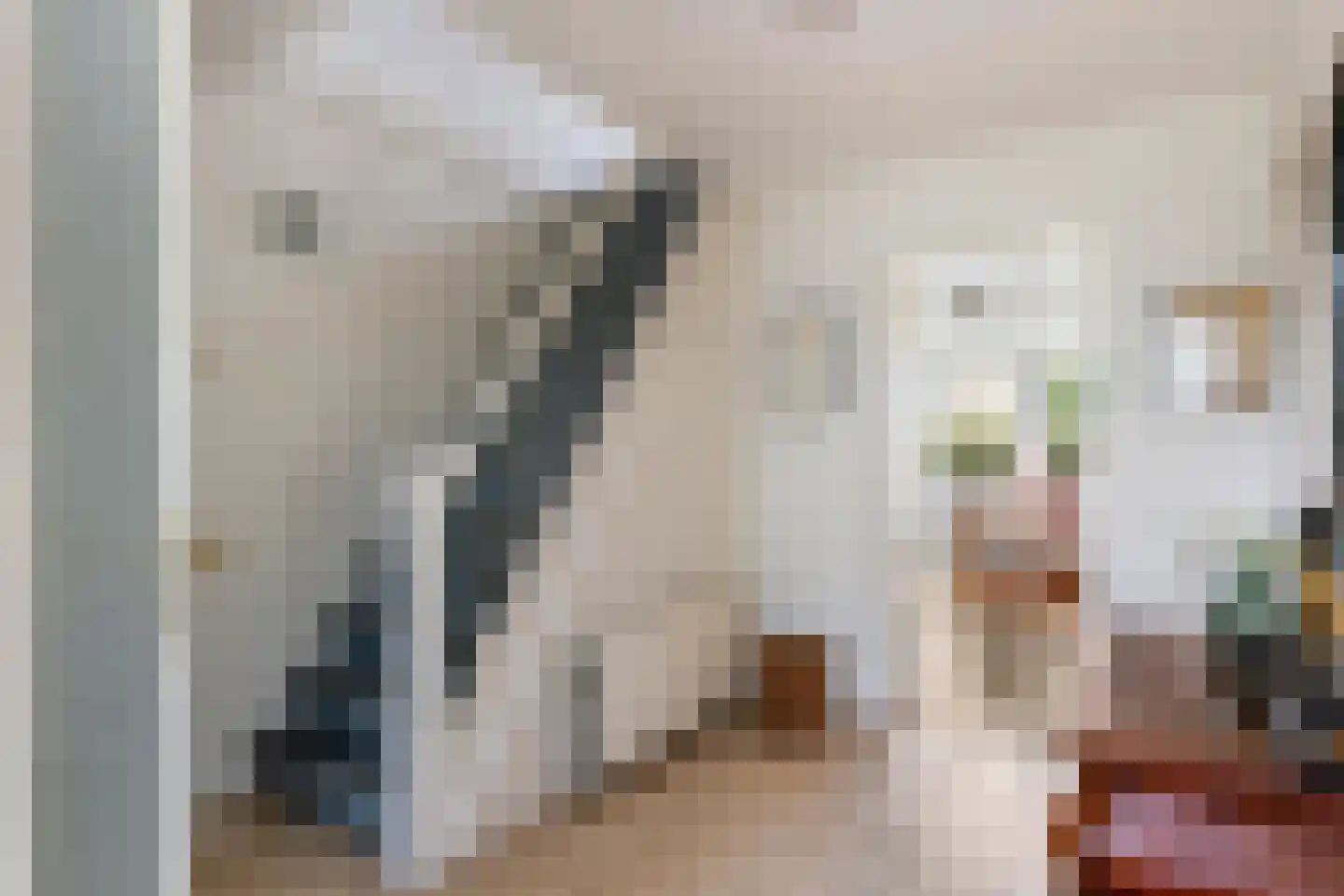 Ganssteeg 27 Beusichem thumbnail 18
