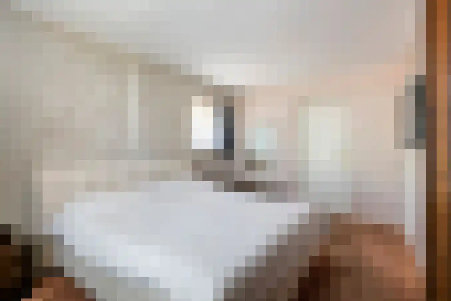 Ganssteeg 27 Beusichem thumbnail 20