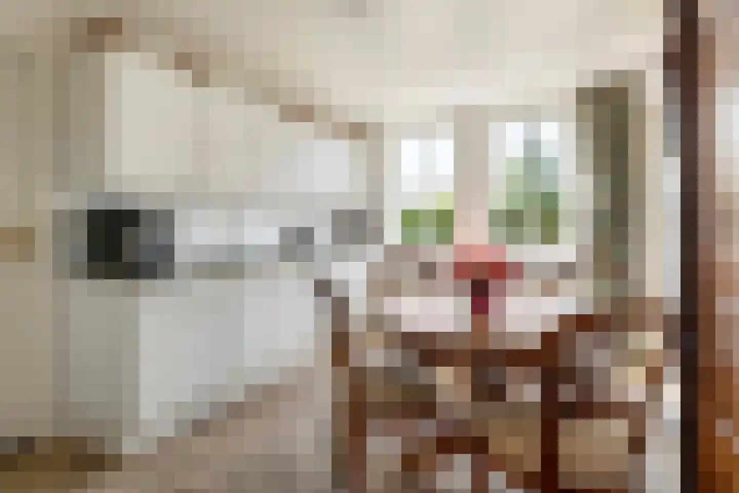 Ganssteeg 27 Beusichem thumbnail 21