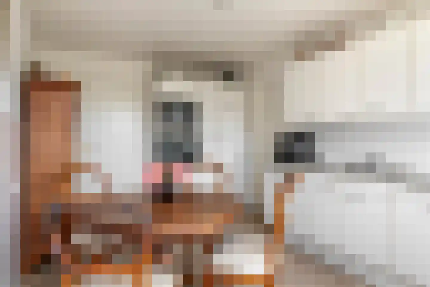 Ganssteeg 27 Beusichem thumbnail 22