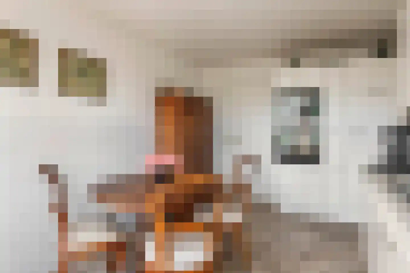 Ganssteeg 27 Beusichem thumbnail 23