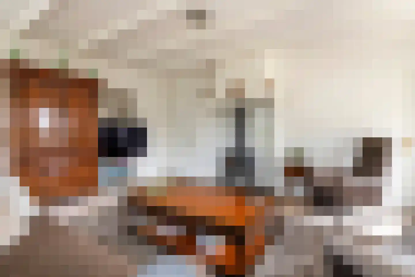 Ganssteeg 27 Beusichem thumbnail 29