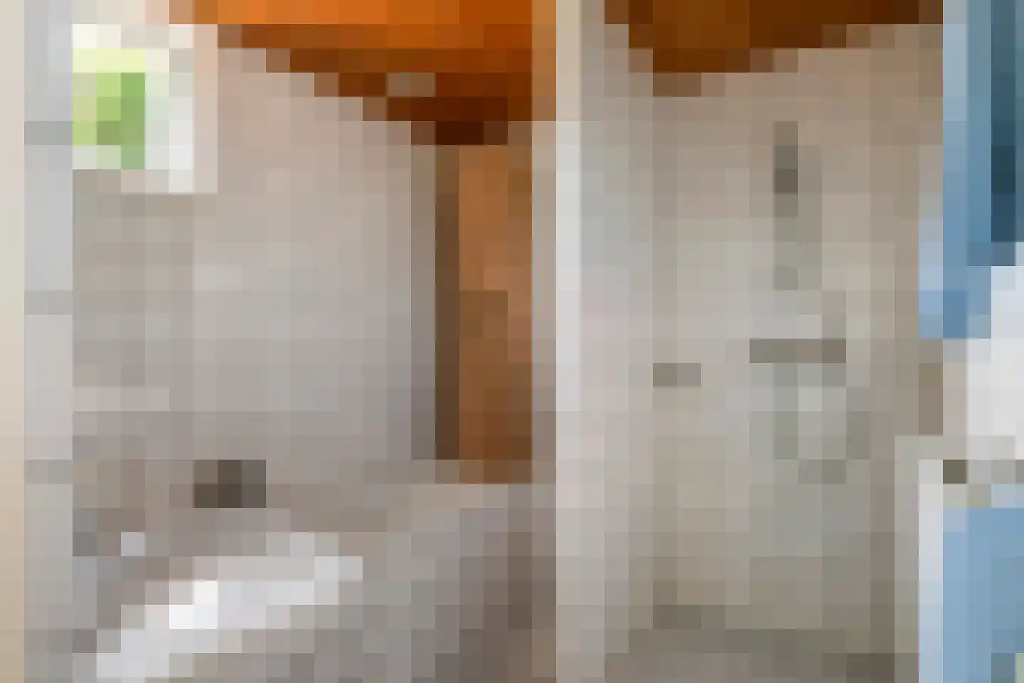 Ganssteeg 27 Beusichem thumbnail 32