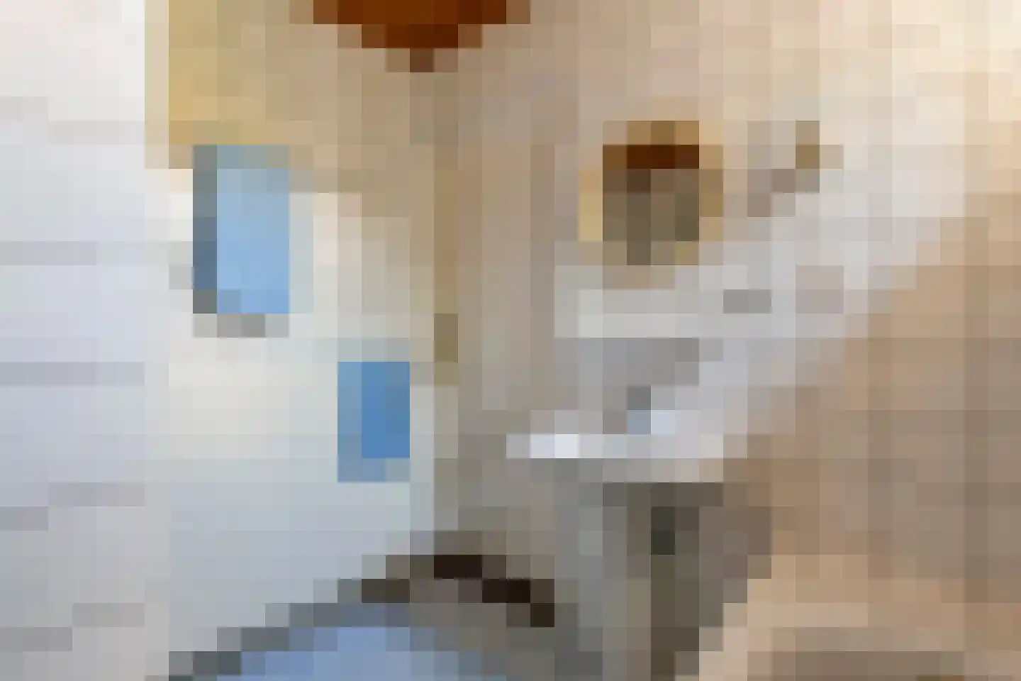 Ganssteeg 27 Beusichem thumbnail 33