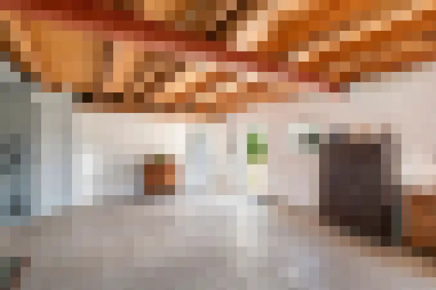 Ganssteeg 27 Beusichem thumbnail 36