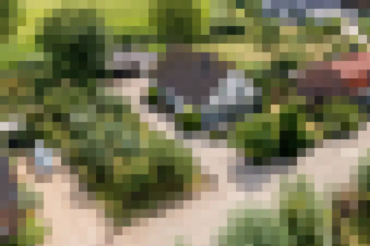 Ganssteeg 27 Beusichem thumbnail 47