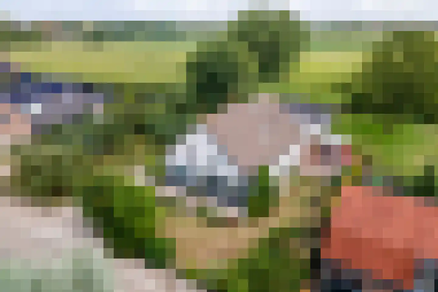 Ganssteeg 27 Beusichem thumbnail 48