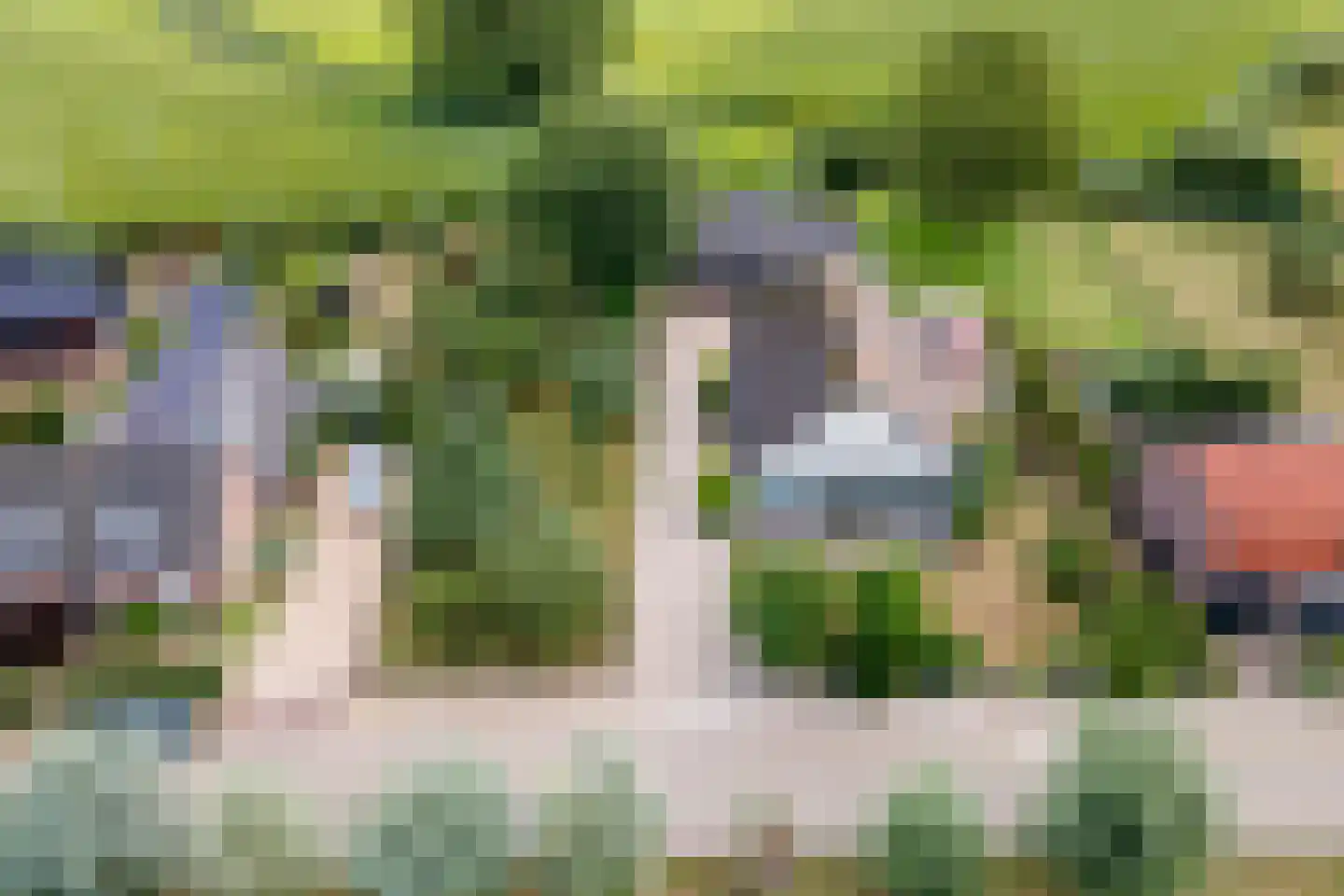 Ganssteeg 27 Beusichem thumbnail 49