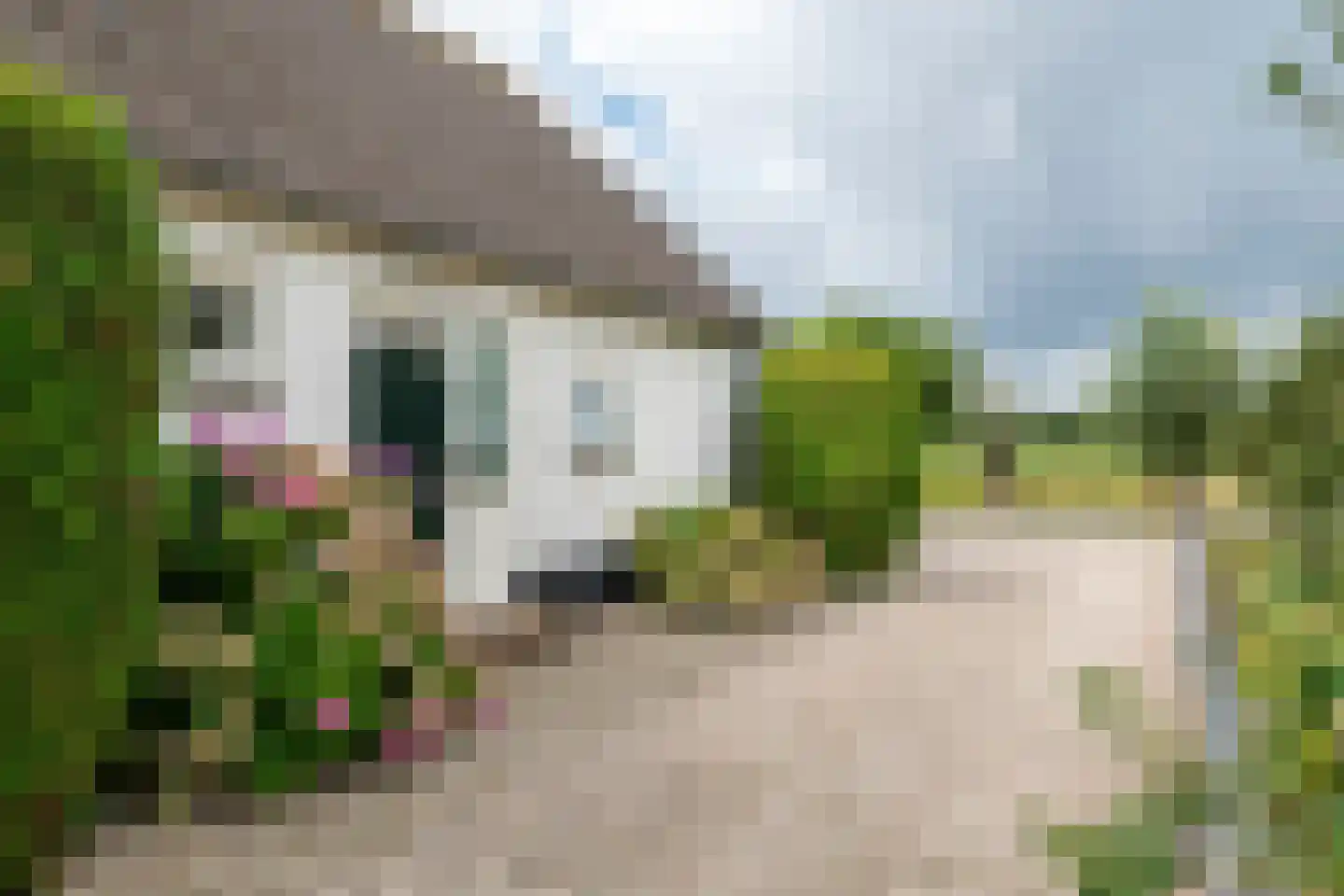 Ganssteeg 27 Beusichem thumbnail 5